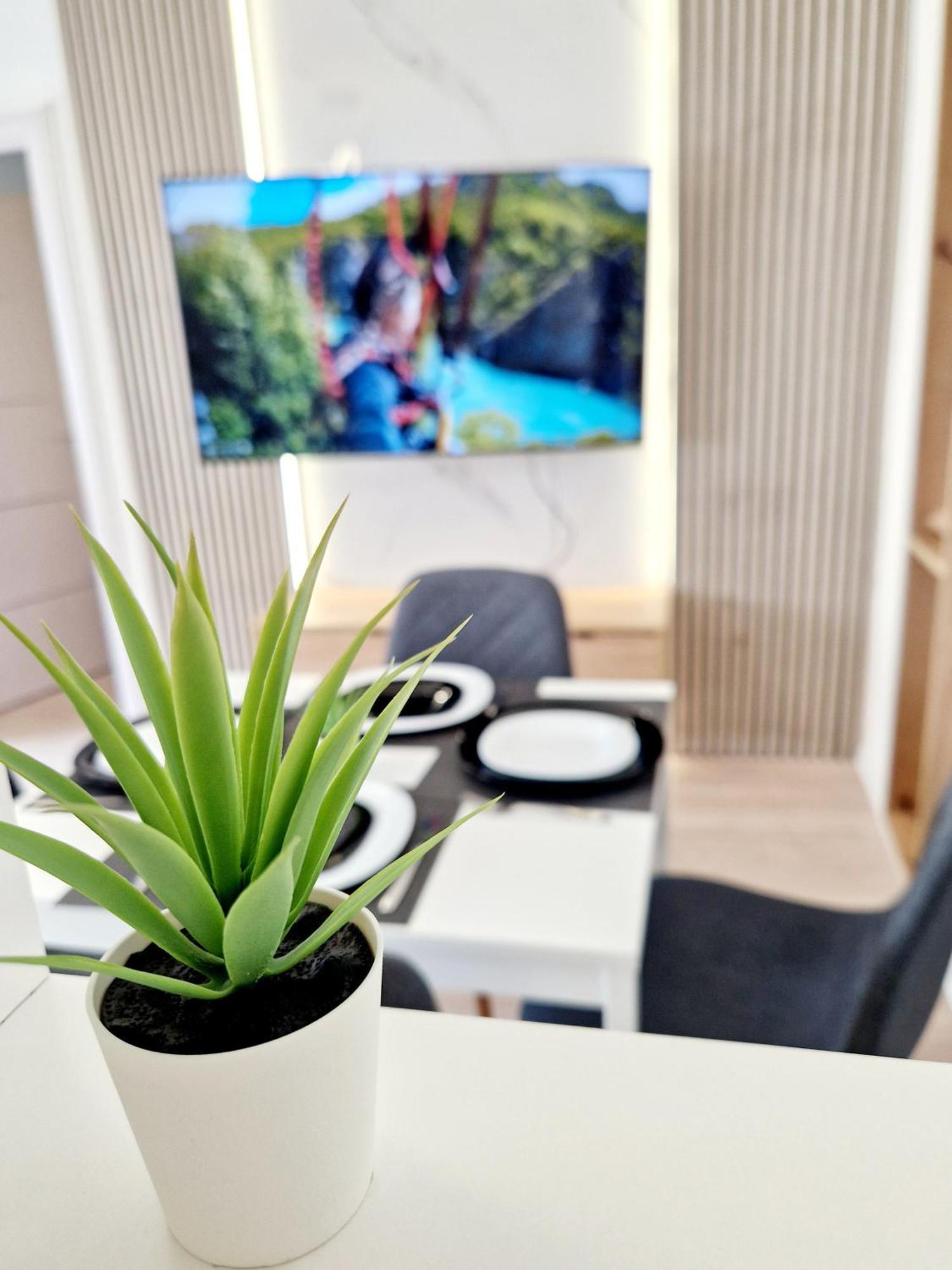 Cosy Novi Sad Loft, Self Check-In Appartement Buitenkant foto